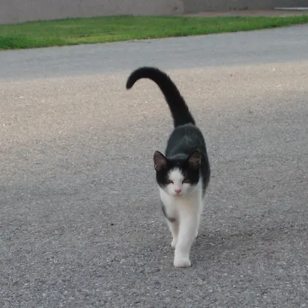 Pensjonat Peterbauerhof