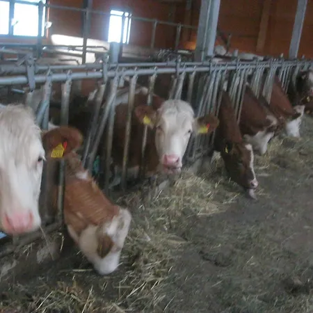 Peterbauerhof Pensjonat 3*