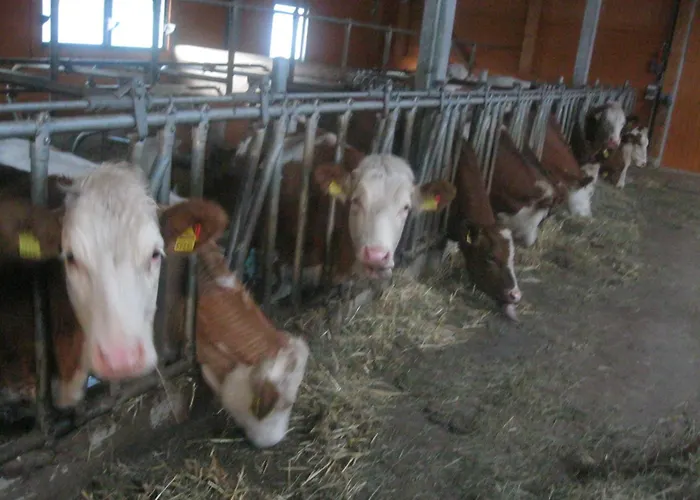 Peterbauerhof Affittacamere 3*